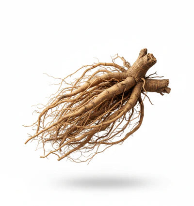 Ashwagandha KSM-66®