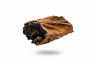 CHAGA